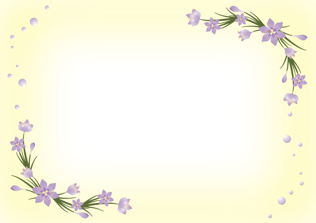 紫色のサフランの花のフレームです。うす紫色の花で、花の中央には黄色い雄しべと赤いめしべがあり、この赤いめしべ（花柱）を乾燥させると、調味料のサフランになります。