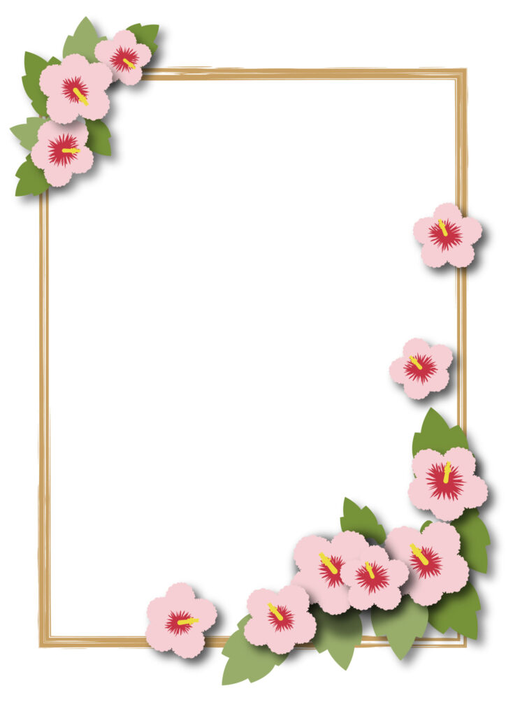 白色のむくげの花のフレームです。庭先でピンクや白のむくげの花を見た事はありますか？　7月～9月頃に咲くお花で、2mぐらいの高さがあり、げんこつぐらいの大きな花を