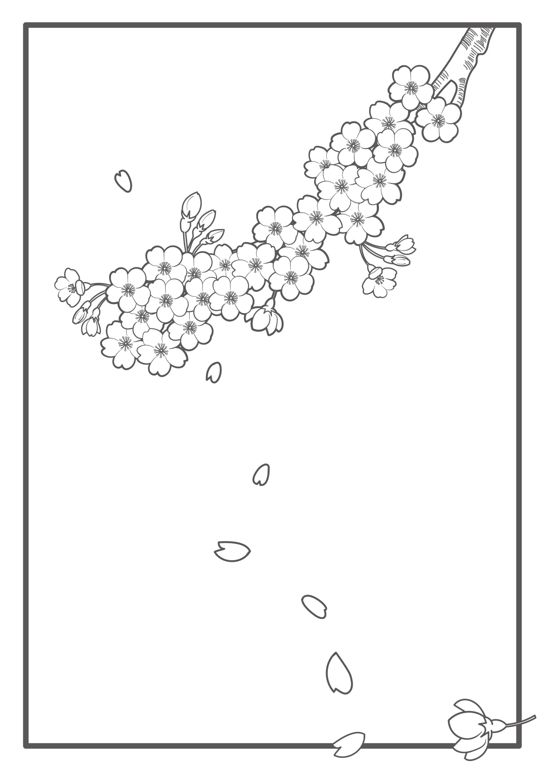 デイサービスのレクリエーション素材におすすめ！おしゃれな塗り絵のテンプレートをダウンロード・桜の花びらが舞う春の季節のイラストになっております。介護施設、高齢者