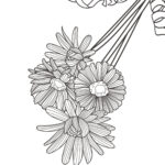 塗り絵のテンプレート「ガーベラ」貼り絵アートの作成にもおすすめ！ダウンロードでPDF・JPG・透過PNGがセットになったZIPファイルを取得いただけます。どなた