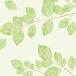 簡単な審査（ポートフォリオ） イラスト 11290