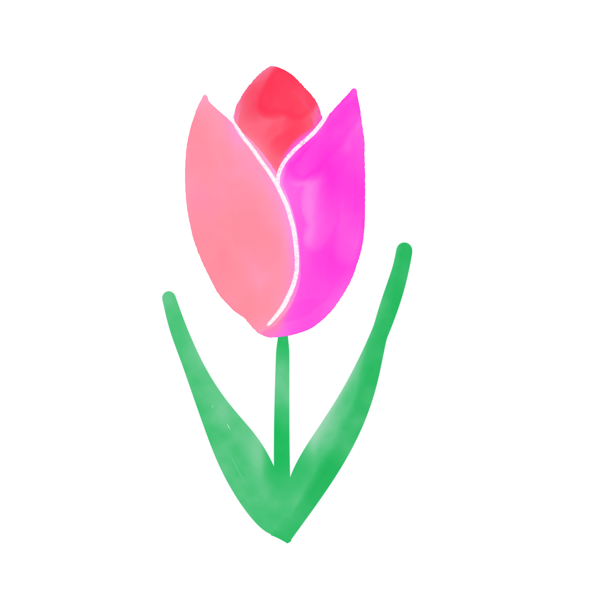 ピンクと赤のチューリップを水彩風に描いた、シンプルでかわいらしいイラストです。 春のデザインやグリーティングカード、花の装飾、季節のグラフィックにお使いいただけ
