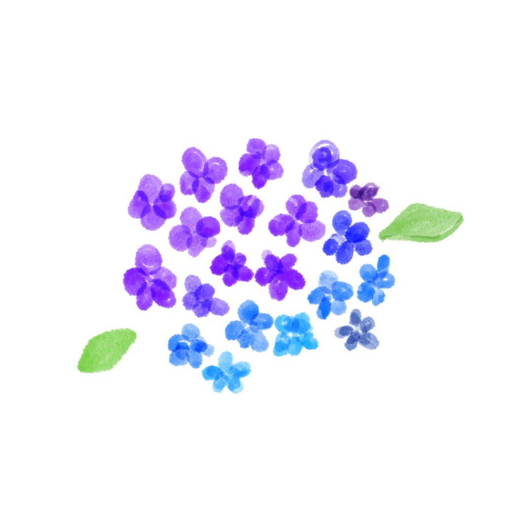 淡い水彩風タッチで描かれた紫～青のあじさい（紫陽花）のイラストです。 梅雨・6月・初夏・和風・季節感・ナチュラルを表現する素材として非常に汎用性が高い素材です。