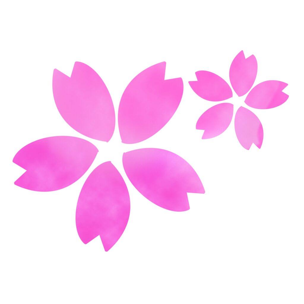 桜の花（2輪）をシンプルに描い