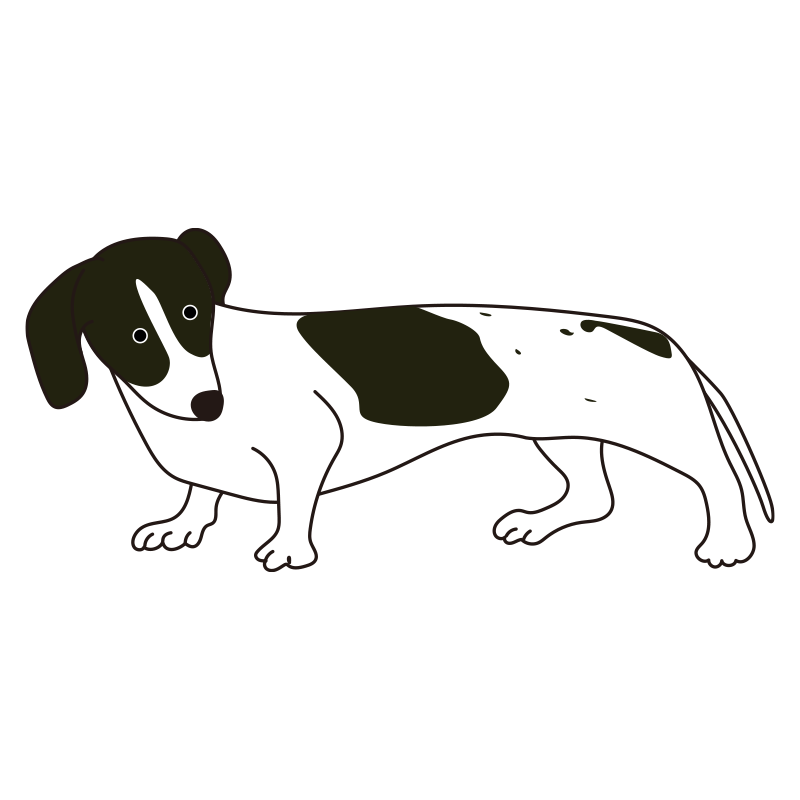 短い足と長い胴がユニークなダッ