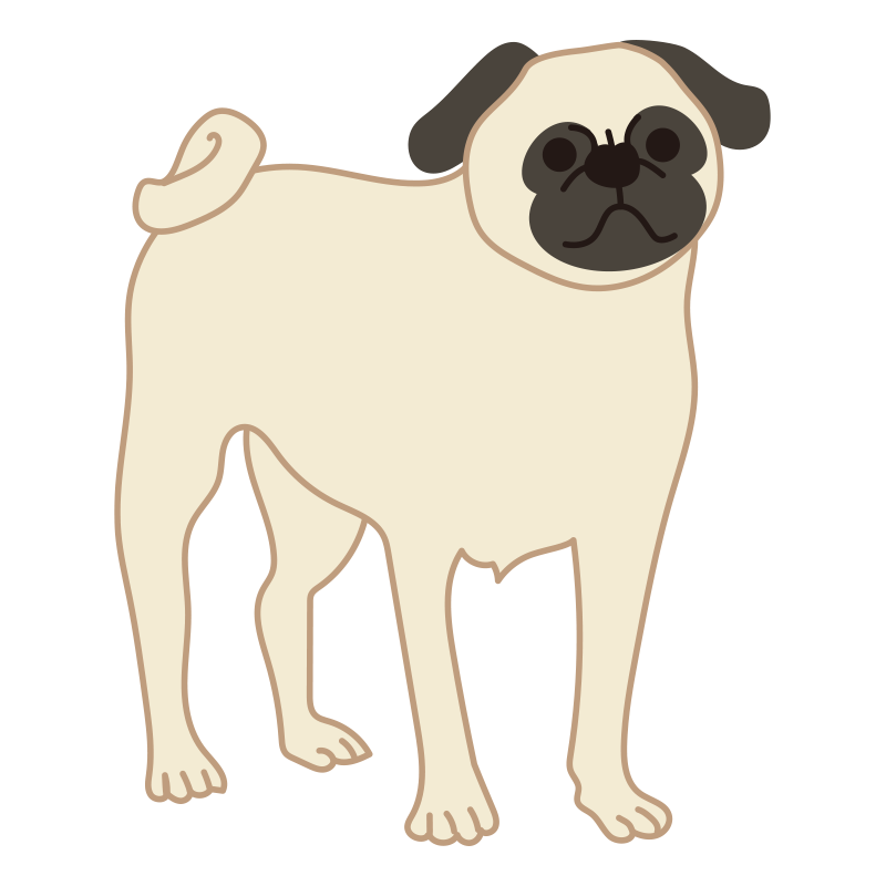 しわくちゃの顔と丸い目が愛嬌た