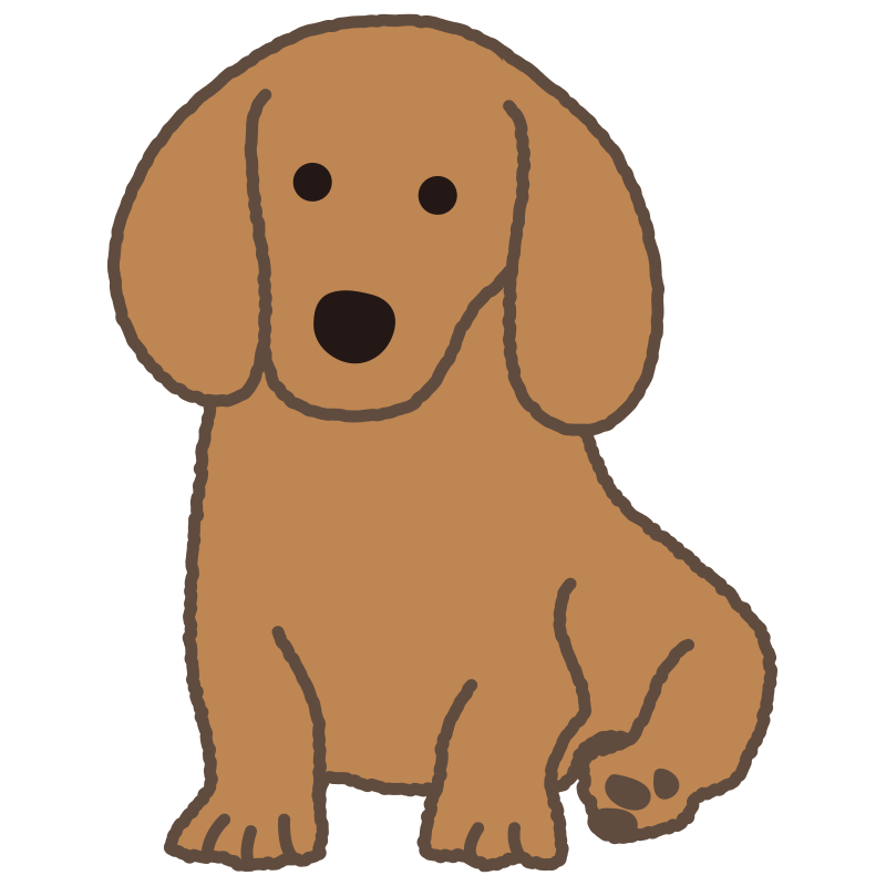 長い耳と短い足が特徴の、可愛ら