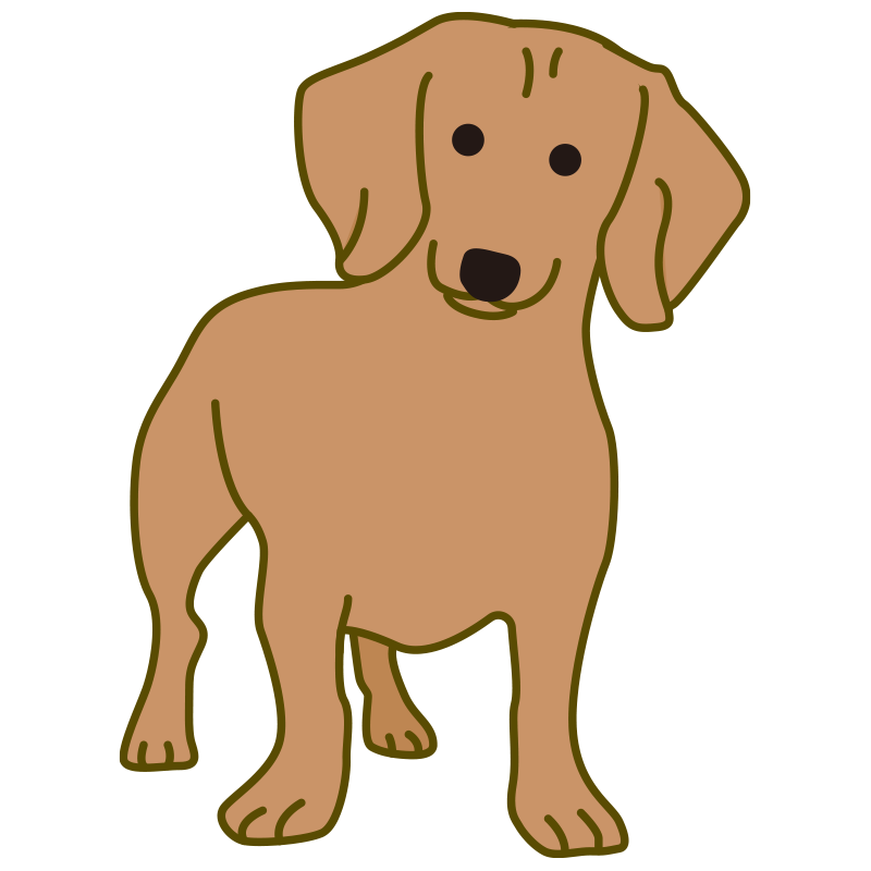 忠実で穏やかな性格が人気のレト