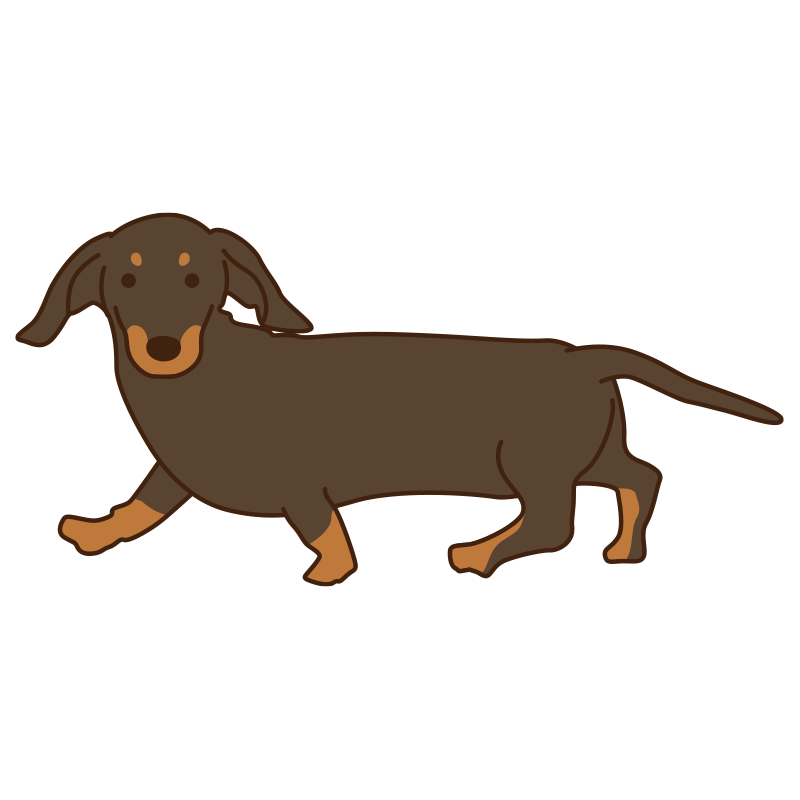 長い胴と短い足が愛らしい、チョ