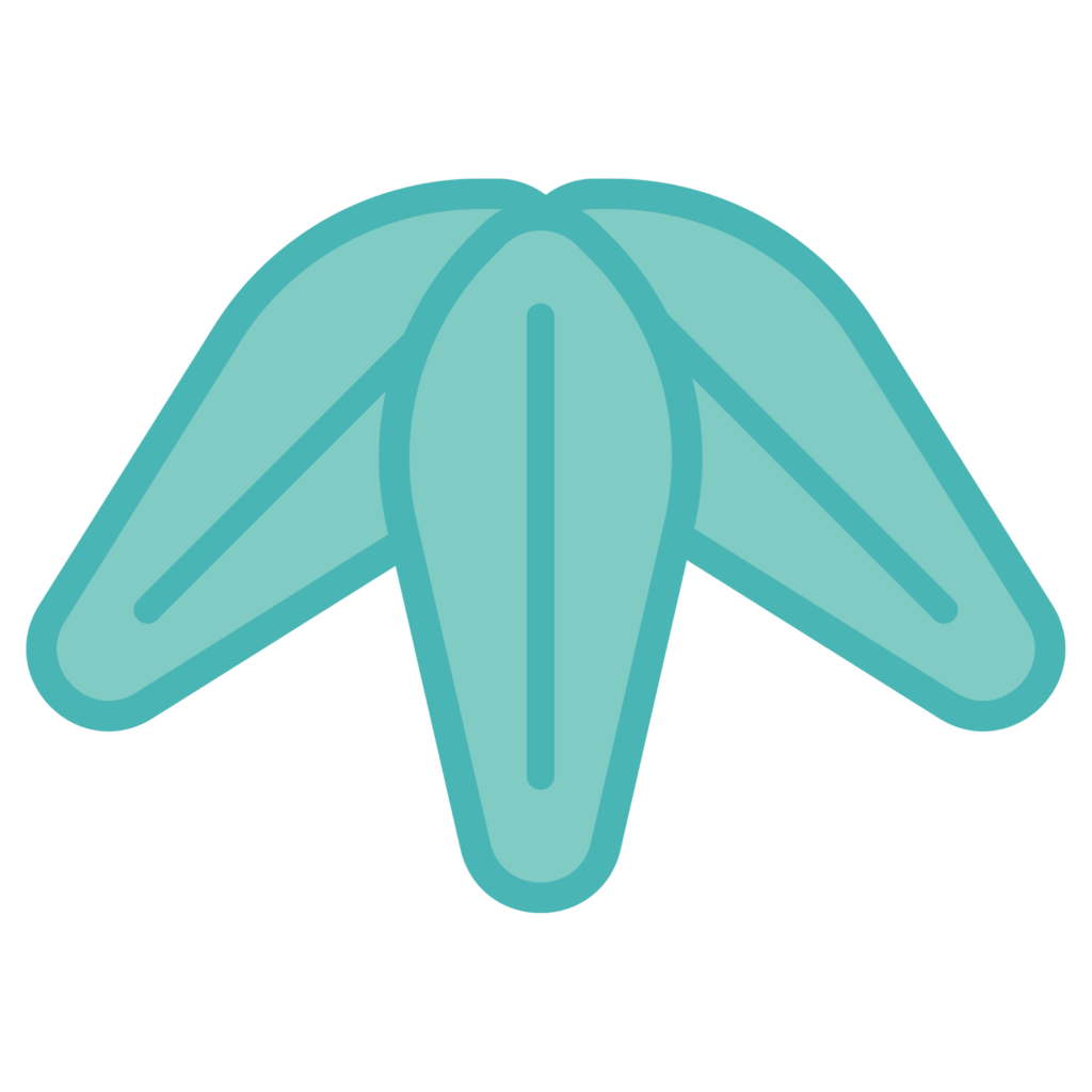 門松やしめ縄に使われる、縁起の