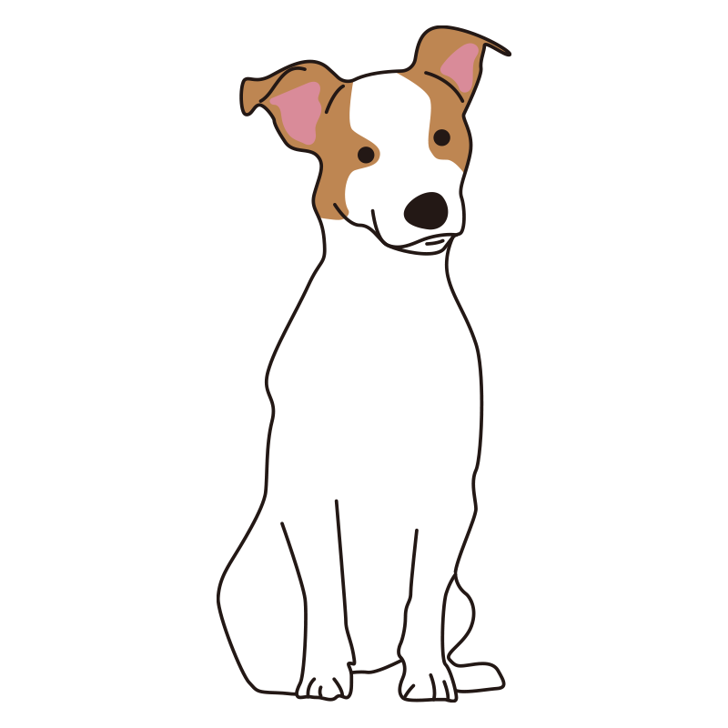 立ち姿が美しく、活発なイメージ