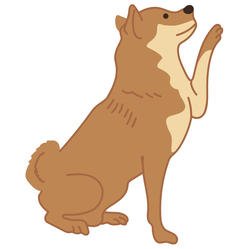 日本犬らしい素朴で愛嬌のある柴