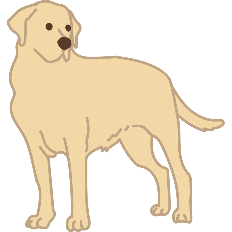 忠実で穏やかなゴールデンレトリ