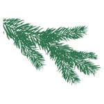 簡単な審査（ポートフォリオ） イラスト 17401