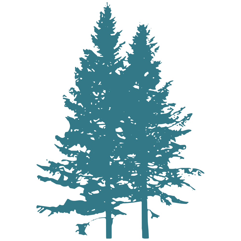 簡単な審査（ポートフォリオ） イラスト 17399