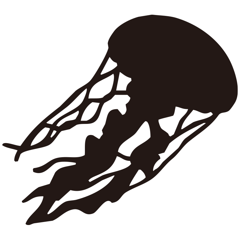 優雅に海中を漂うクラゲのシルエ