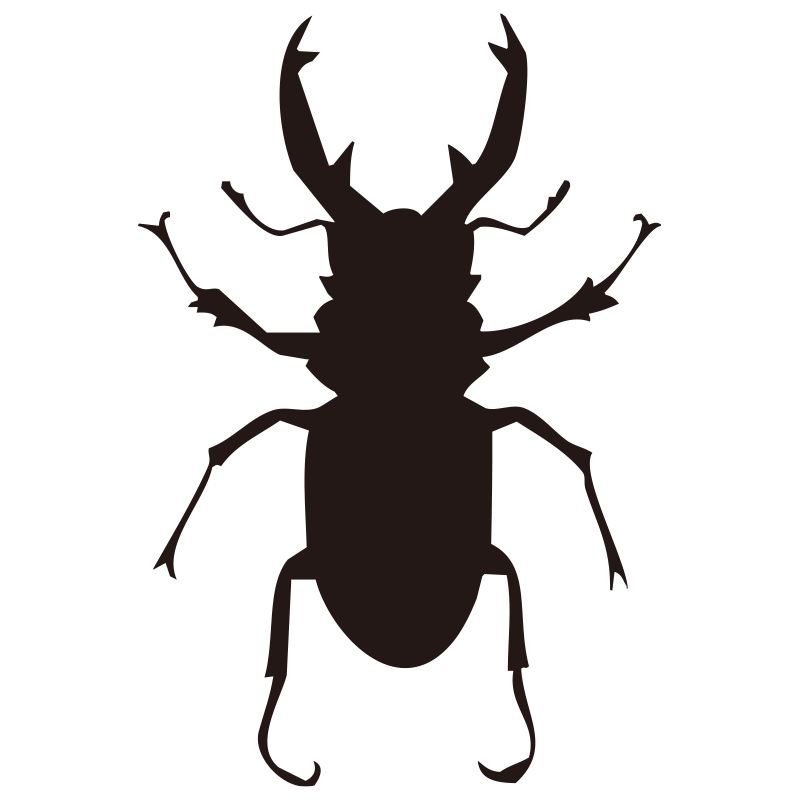 大きなアゴが象徴的なクワガタム