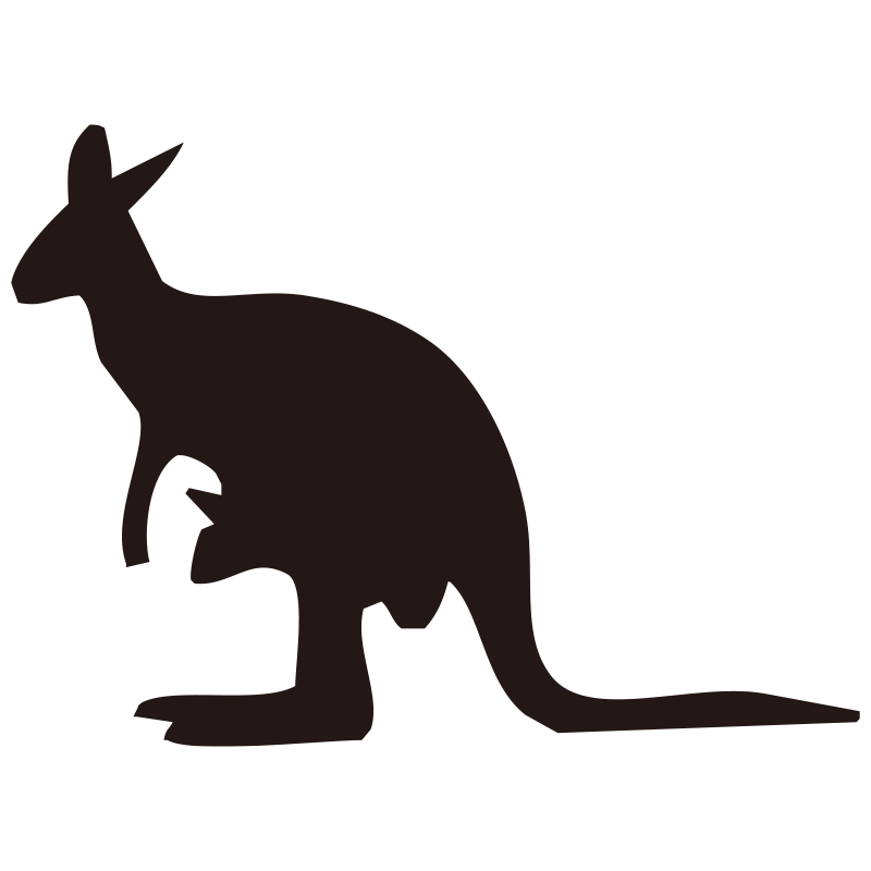 お腹の袋に赤ちゃんが入っている