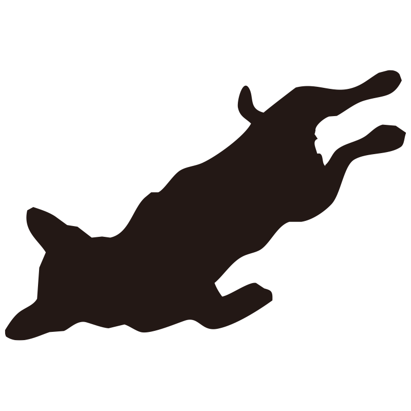 お腹を見せて寝転がっている（ヘ