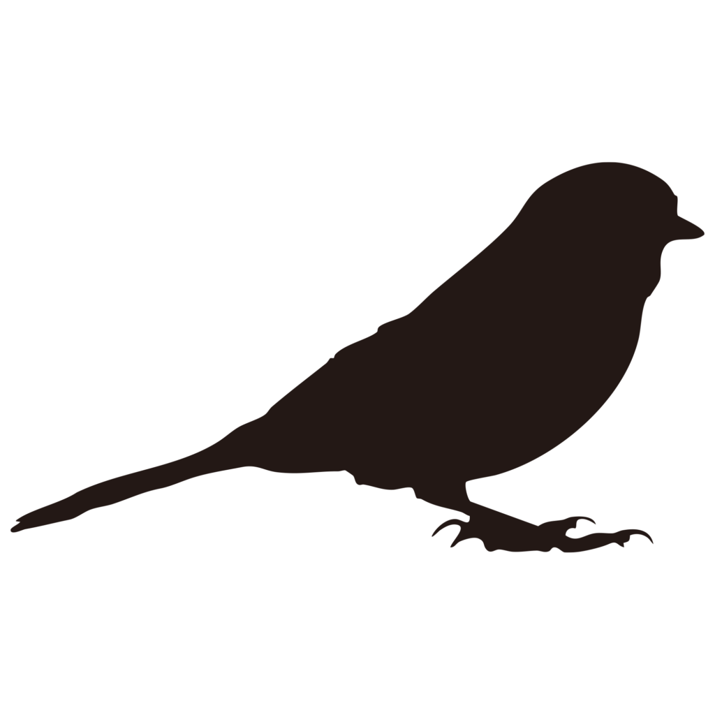 静かな佇まいの小鳥のシルエット