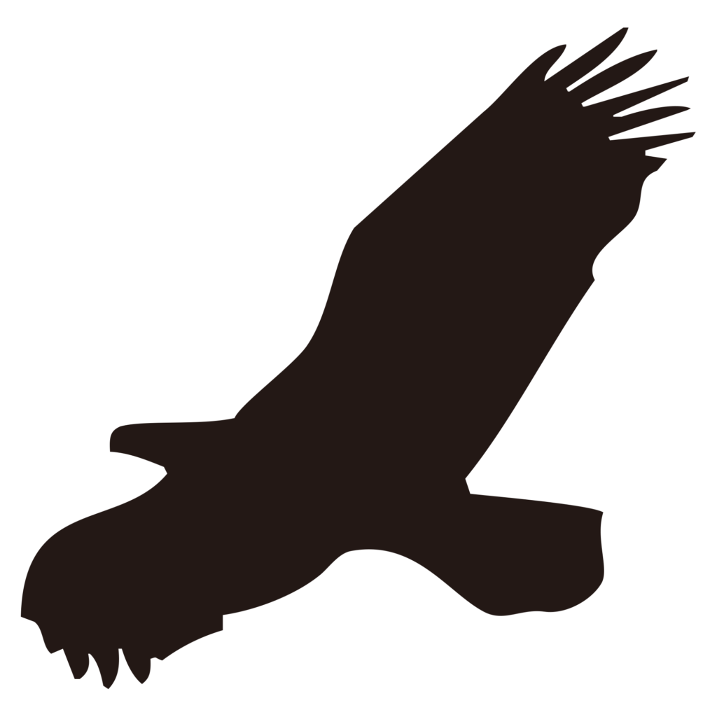 力強く空を舞うワシ（あるいは猛