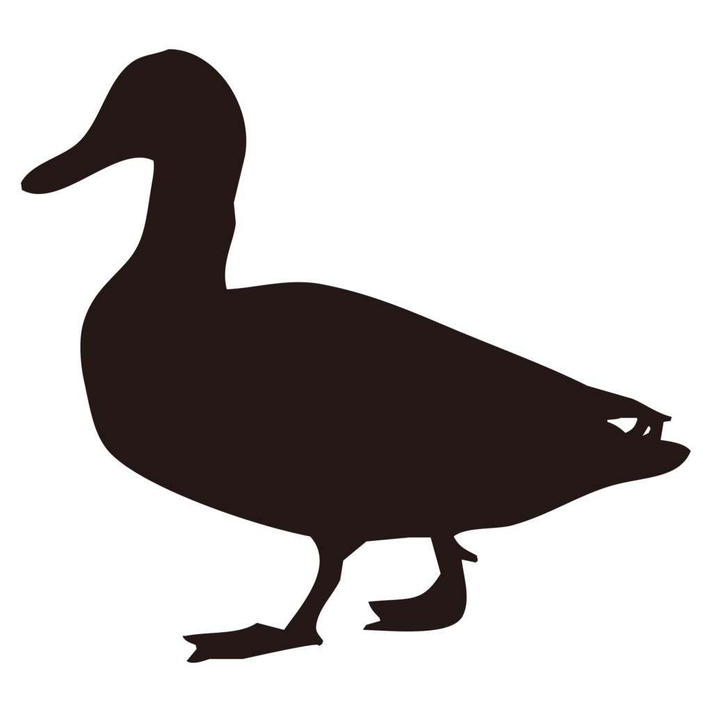 水辺を歩く姿をイメージしたカモ