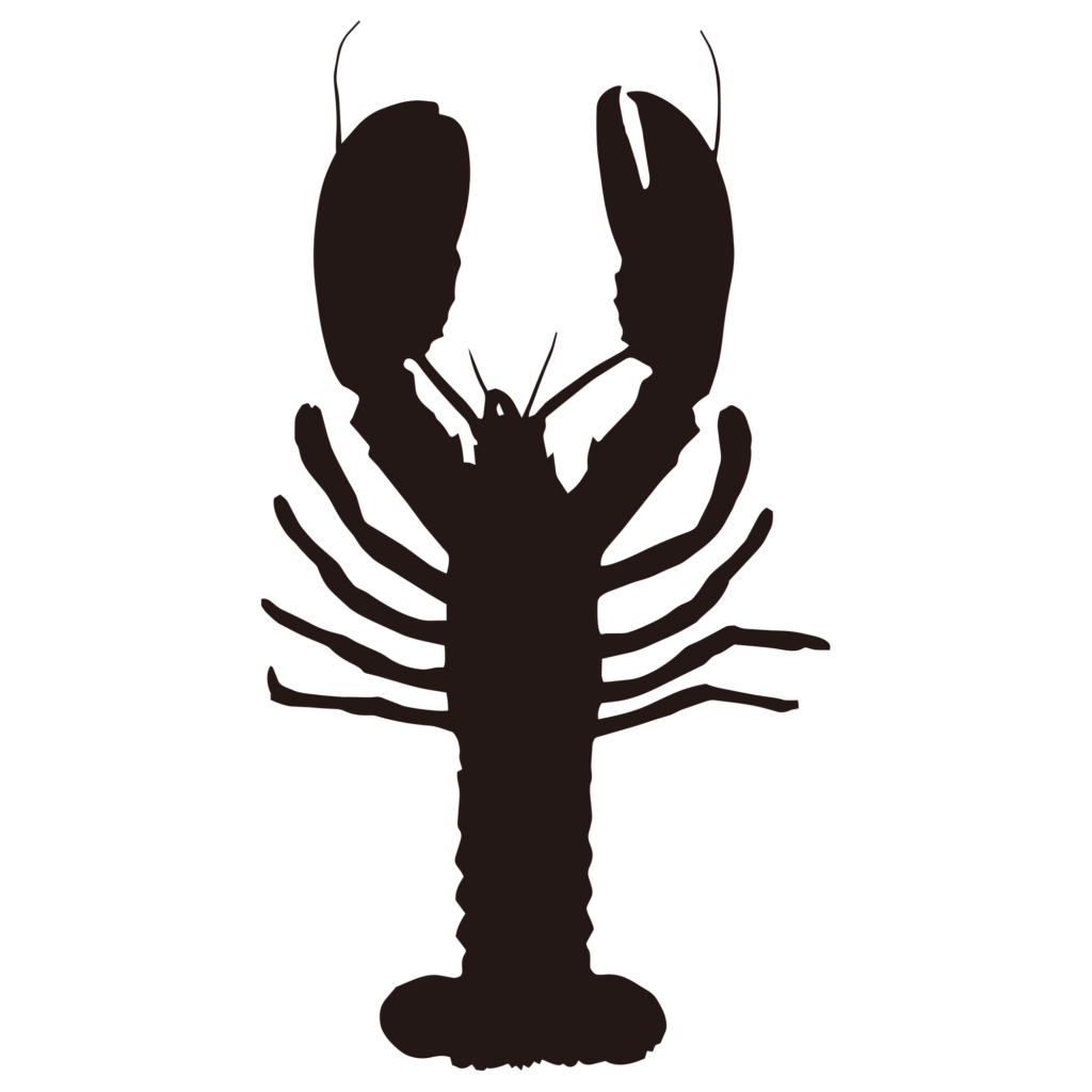 大きなハサミが特徴的なロブスタ