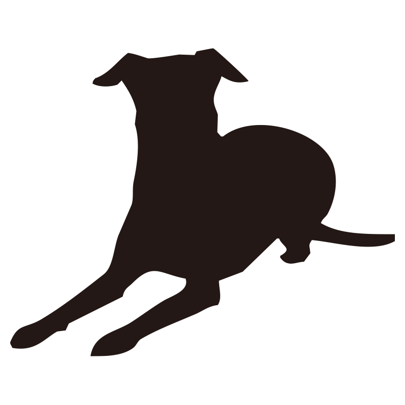 賢くお座りをして待機している犬