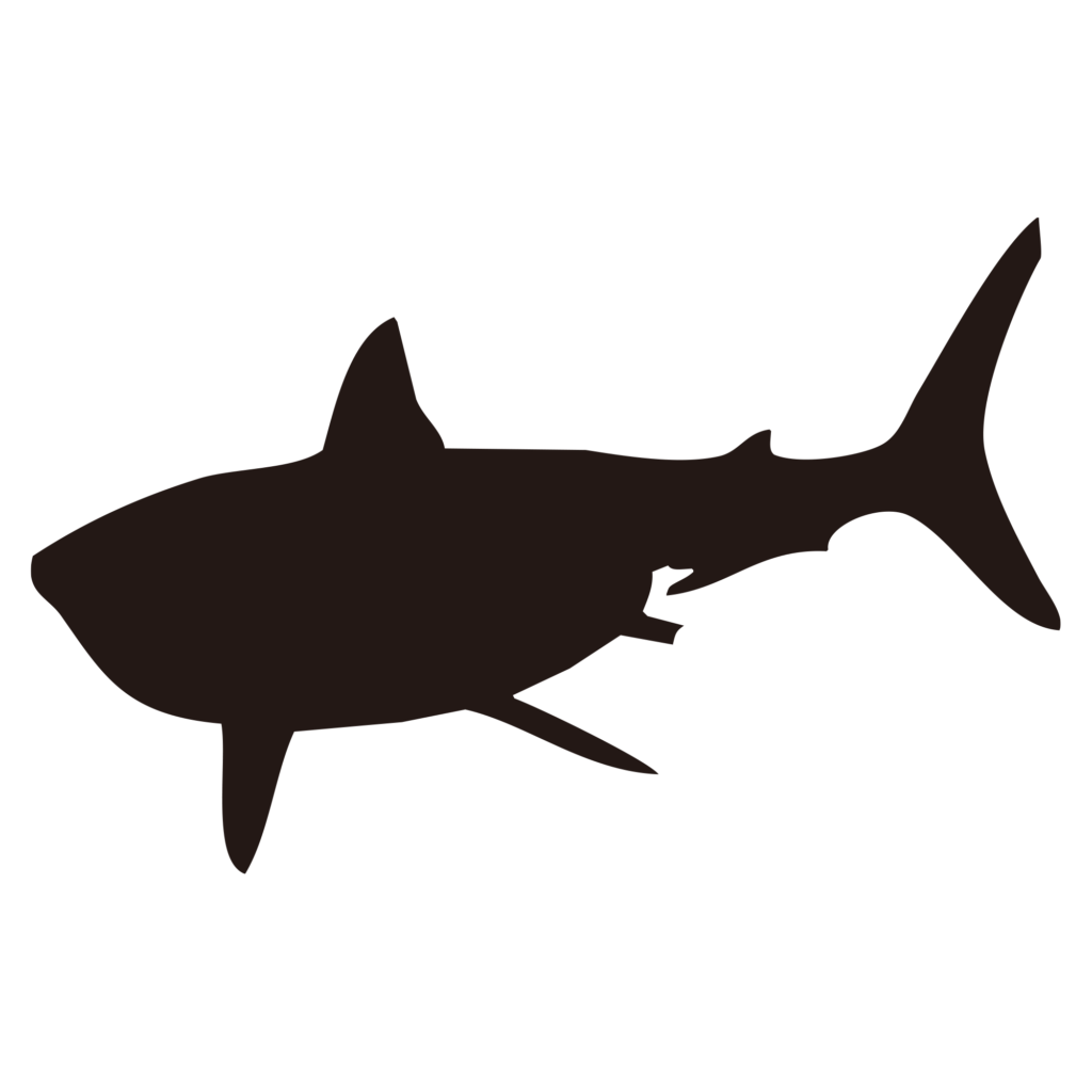 悠然と泳ぐサメの姿を描いた黒い