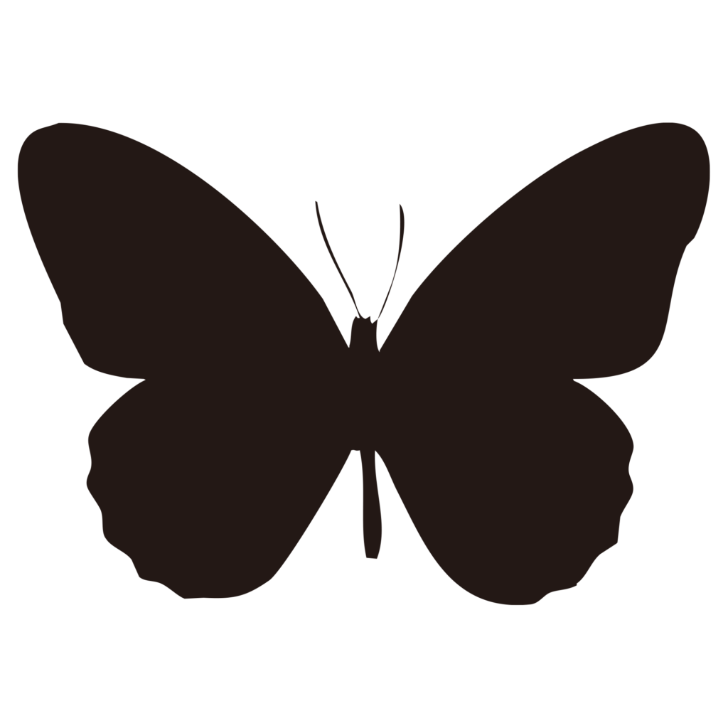 羽を大きく広げた蝶（チョウ）を