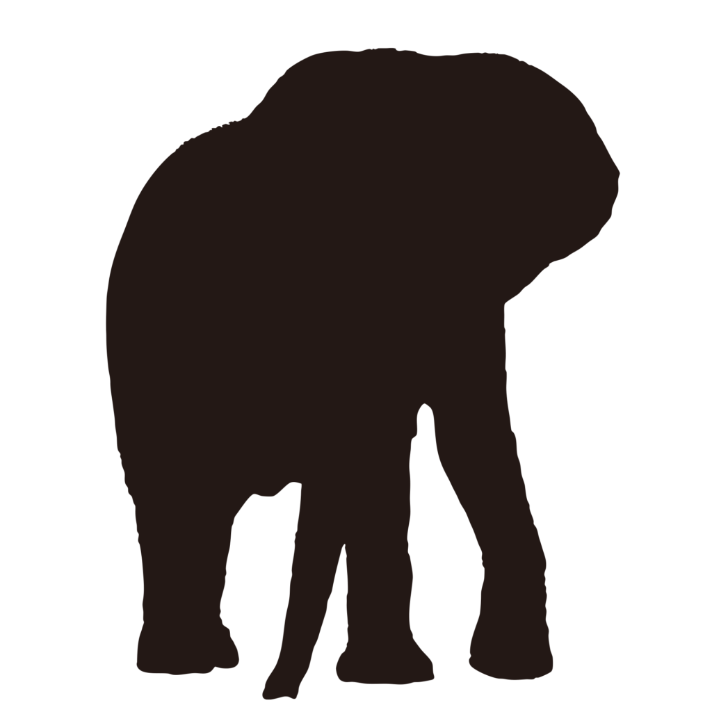 穏やかで重厚感のあるゾウの姿を