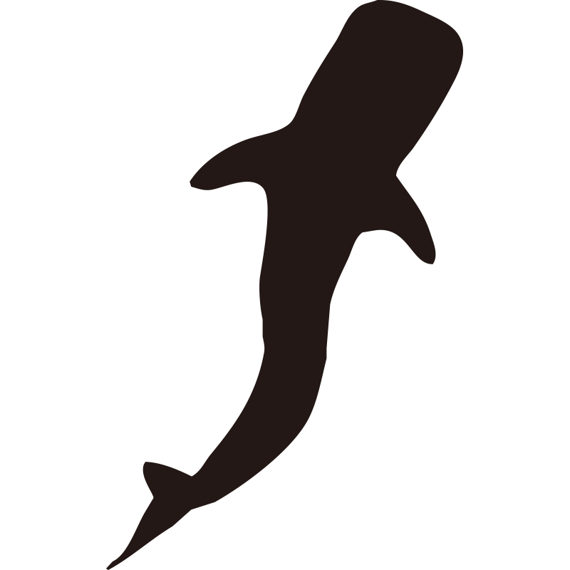 巨大なマッコウクジラを上空から