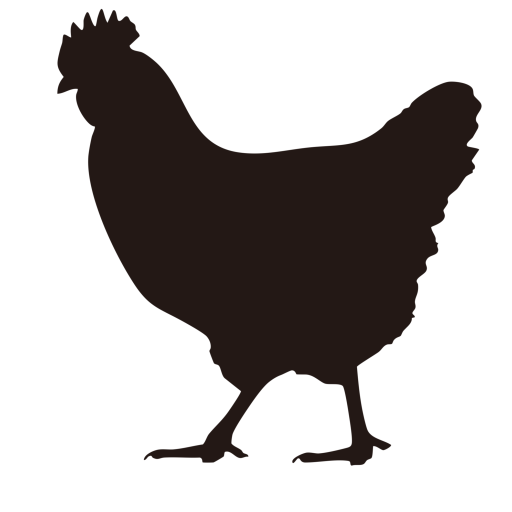 にわとりを横から見たシンプルな
