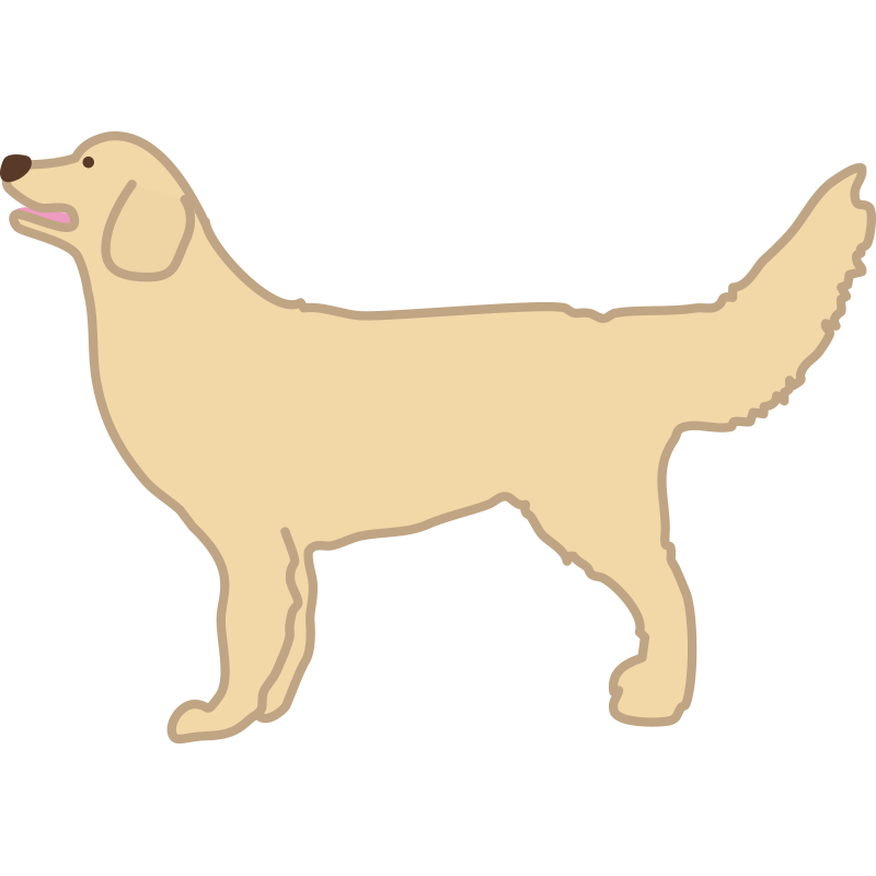 穏やかで賢いゴールデンレトリバ