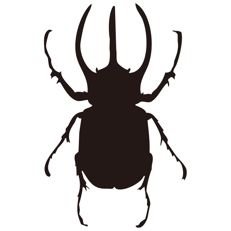 立派な角が特徴的な、力強いカブ