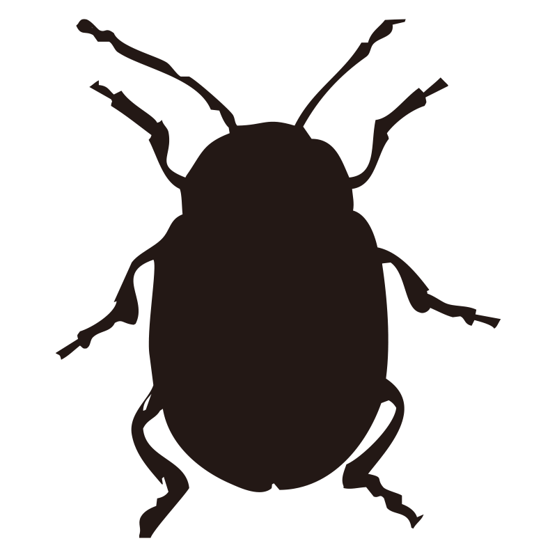 触角や脚の細部まで表現された昆