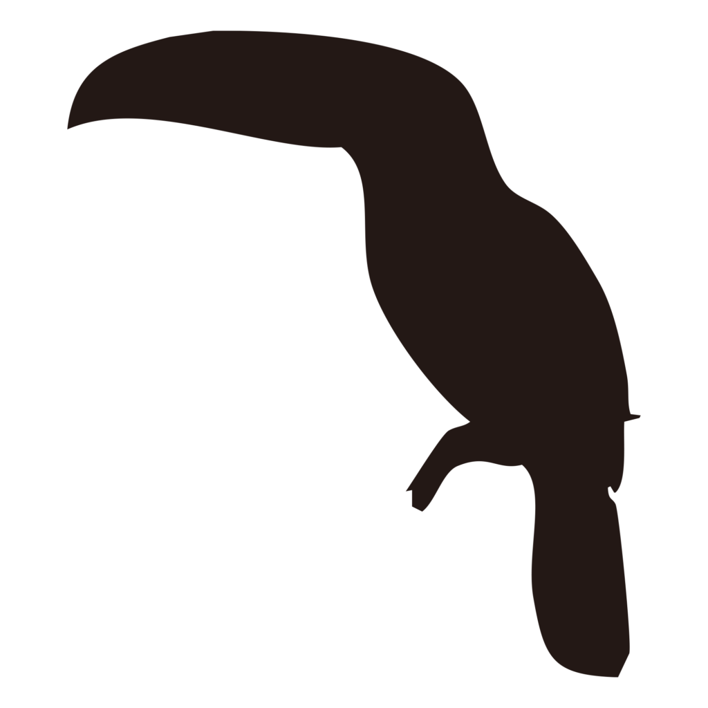 南国の雰囲気が漂う、大きな嘴（