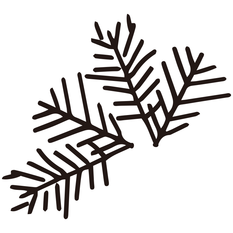 モミの木や松の葉をイメージした