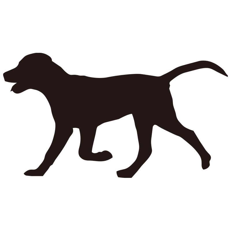 横向きに歩くラブラドールレトリ