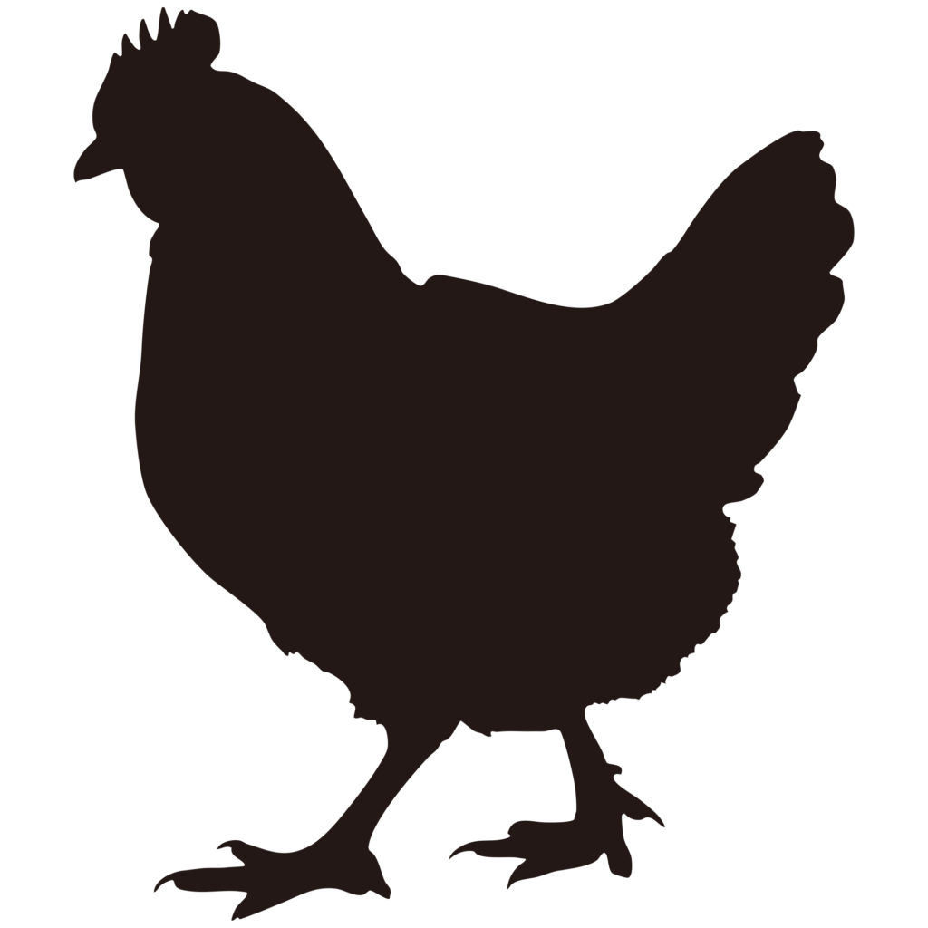 横から見たニワトリの標準的なシ