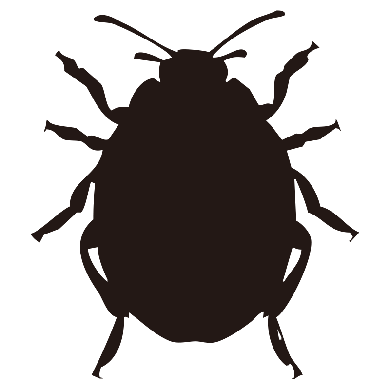 幸運を運ぶ虫として親しまれる、