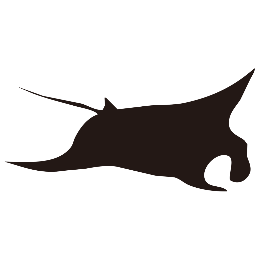 優雅に海を泳ぐマンタのシルエッ