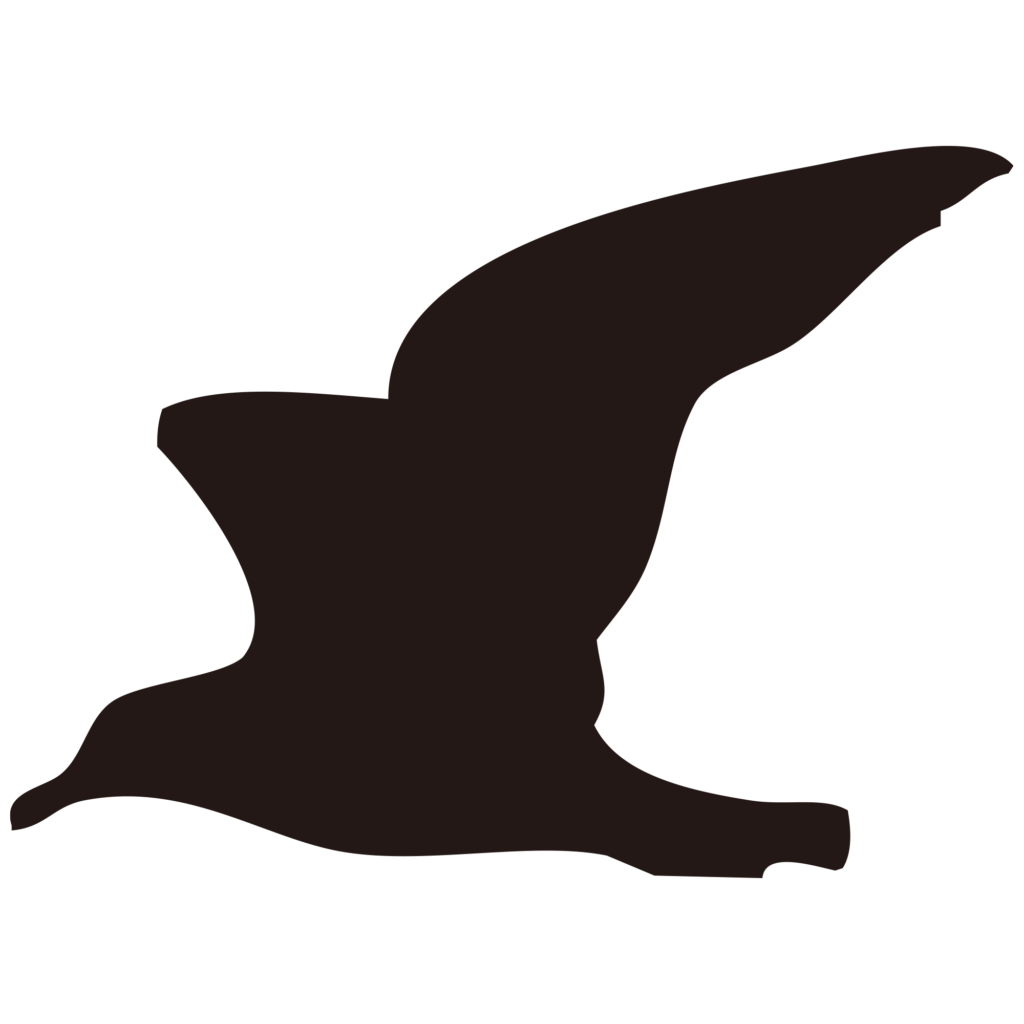 大きな翼を広げて滑空するカモメ