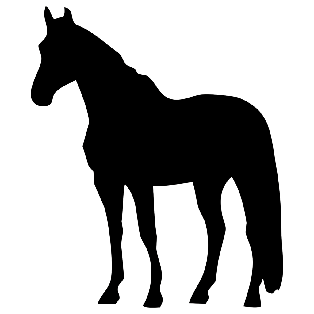 凛とした立ち姿が美しい馬（ウマ