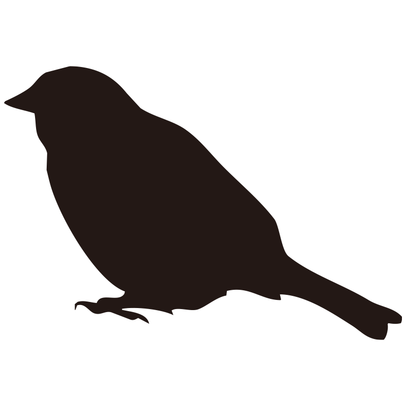 地面に降りて佇むスズメ（小鳥）