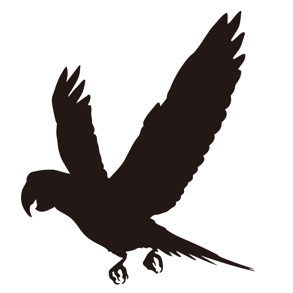 翼を大きく広げて羽ばたくオウム