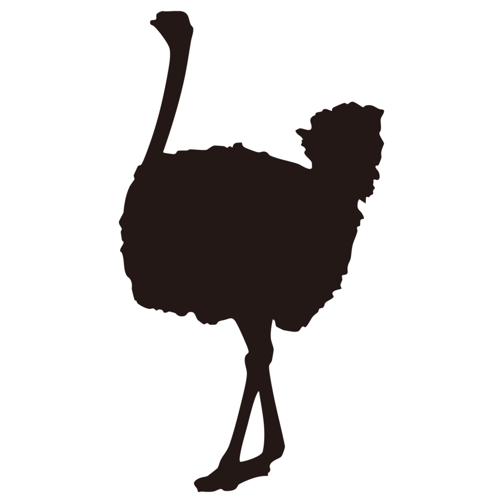 長い首とがっしりとした体が特徴