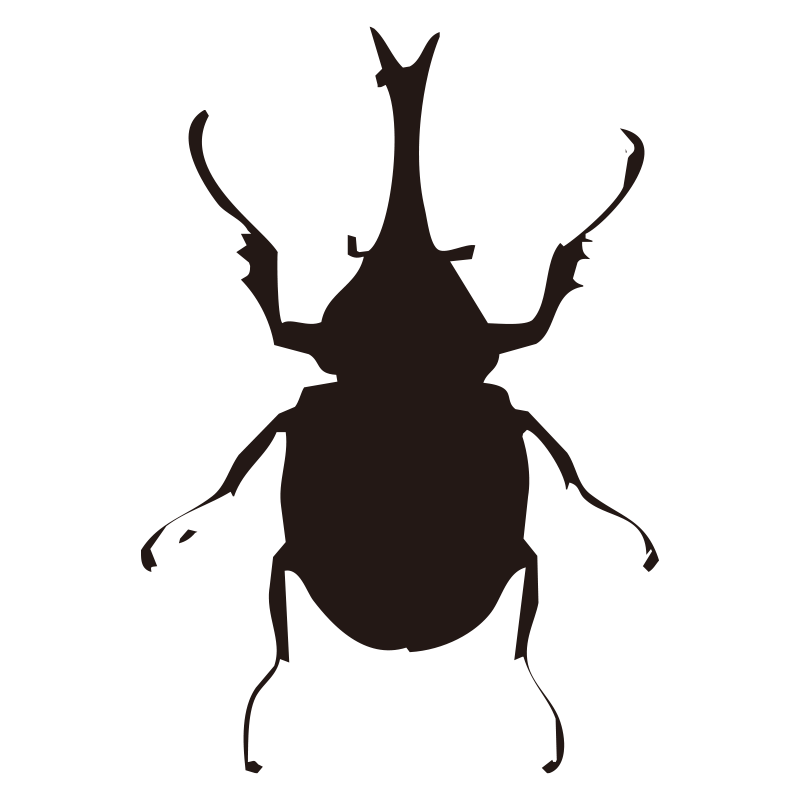 夏の王様、カブトムシを真上から