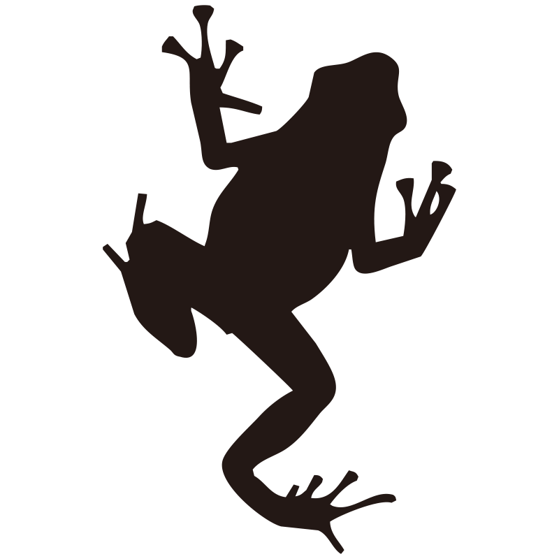 壁を登っているような、躍動感の