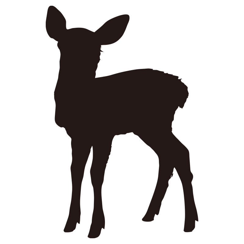 黒背景に浮かび上がる子鹿（バン